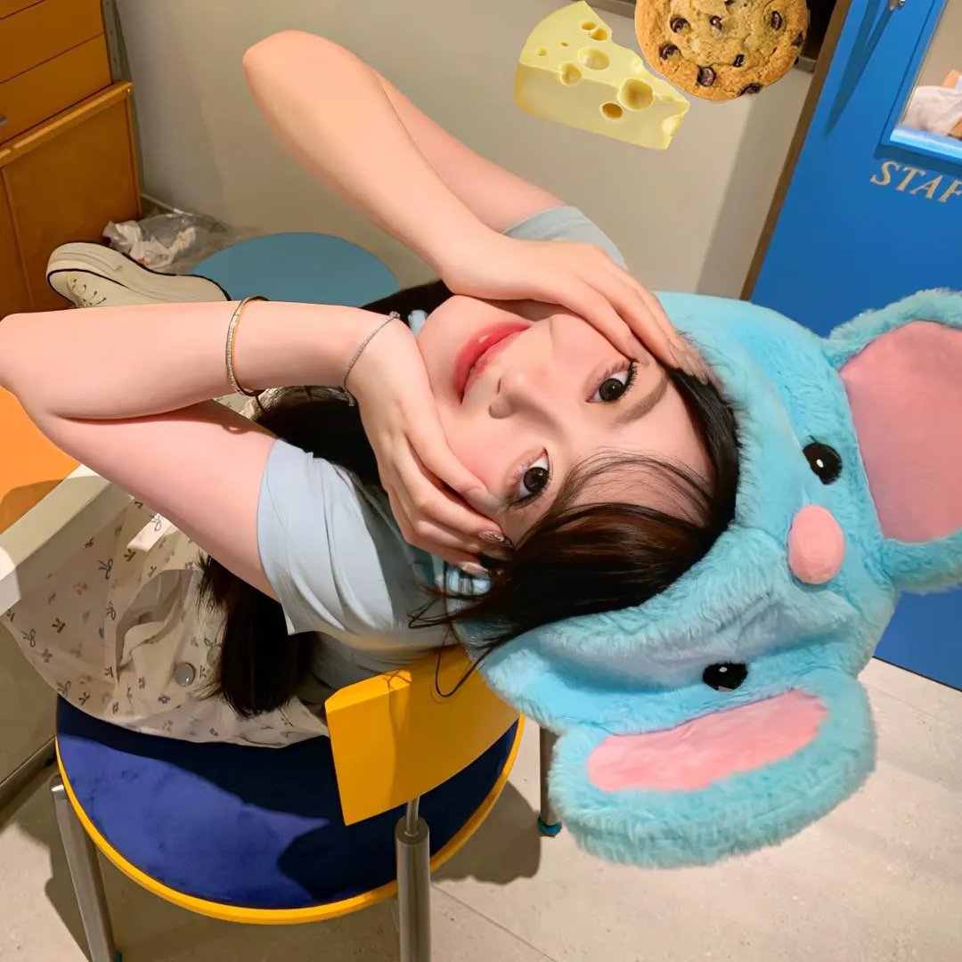 纽泽西爱未眠